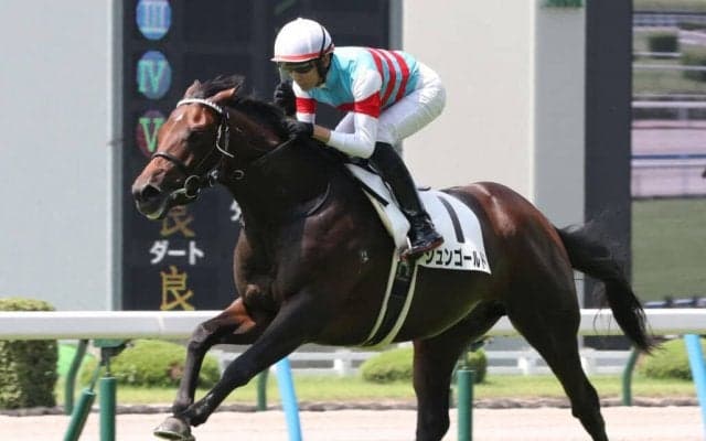 【新馬/小倉5R】ジュンゴールドが豪快な差し切りV！ライバルを置き去りにする差し脚を披露