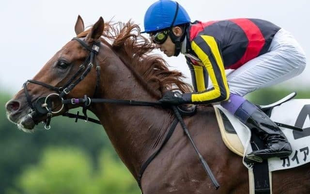 【札幌2歳S想定馬・騎手】ガイアメンテ、パワーホールなど10頭