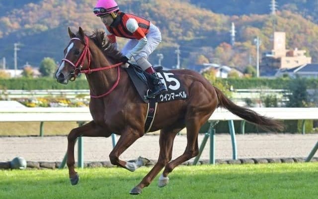 【キーンランドC予想】現時点での注目馬は3頭！ 馬体から洋芝適性が見込める狙い目は？