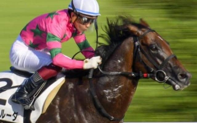 前走に復調の兆しあり ラインガルーダが得意1000mの釜山Sで巻き返す