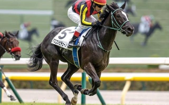 【新潟2歳S予想】鬼門となる“東京芝1400m”からの距離延長 ジョッキーに託された好走へのカギ