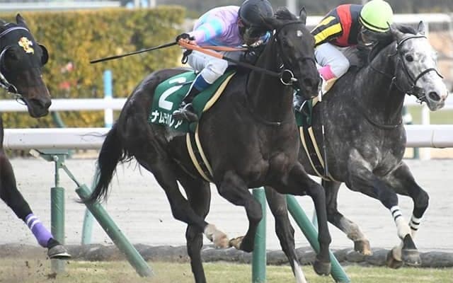 【AI予想・キーンランドC】初志貫徹の本命馬！ 不安要素皆無で力通りの走りに期待大