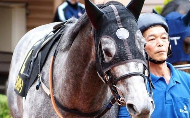 【朱鷺S予想】4勝挙げる芝1400mがベスト 前走以上に期待したい