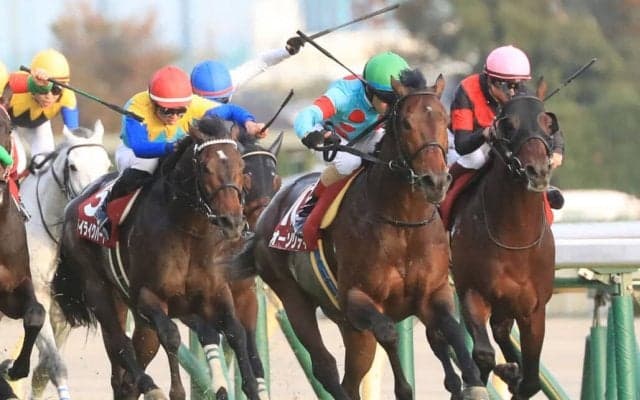 オーソリティが競走馬登録抹消