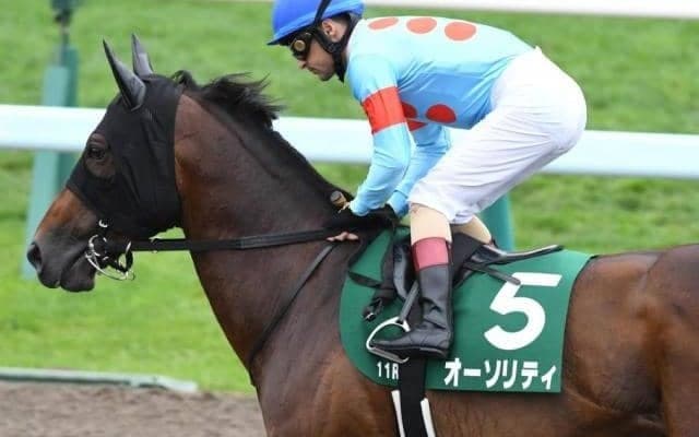 国内外で重賞4勝のオーソリティが競走馬登録を抹消 今後は優駿SSで種牡馬に