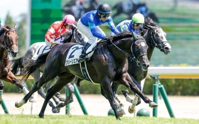【新潟2歳S予想】世代最初のマイル重賞 左回り経験馬に要注意！