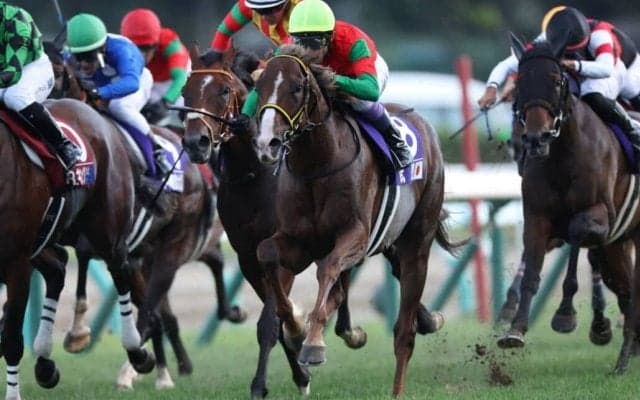 【WASJ】初日暫定1位は女性騎手レイチェル・キング、2位に連覇を狙う武豊が続く
