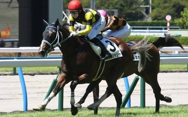 【小倉5R新馬戦結果】5番人気のトレンシャリーが差し切りV