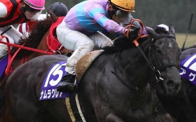 【キーンランドC・馬体重】ナムラクレアは468kg(±0)、トウシンマカオは472kg(+6)