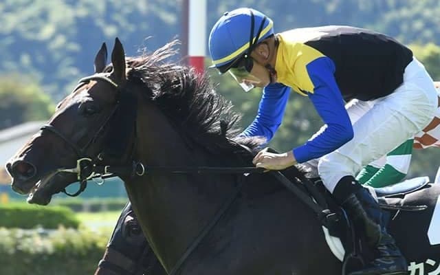 【小倉日経オープン結果】カントルが差し切ってオープン初V