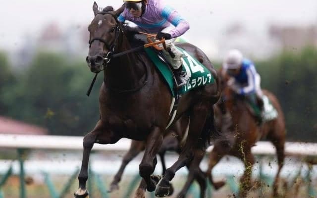 【キーンランドC結果】ナムラクレアが差し切って重賞4勝目を挙げる