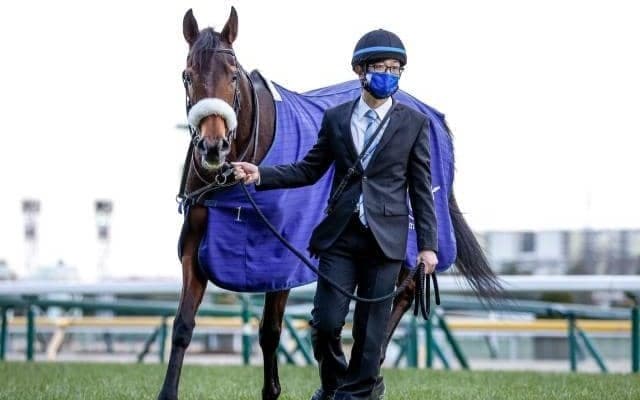 夏競馬のフィナーレ新潟記念、若駒による札幌2歳Sと小倉2歳S/今週の競馬界の見どころ