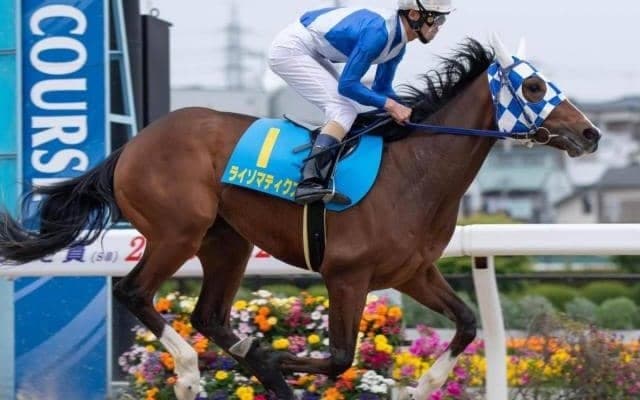 G1・6勝テピンが伯母にいる良血が重賞初挑戦/浦和・ルーキーズサマーC枠順