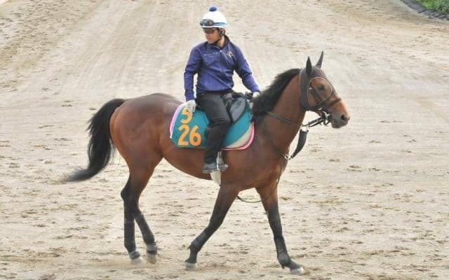 両親ともにGI馬の超良血馬 ルメール騎手を背に今週末初陣