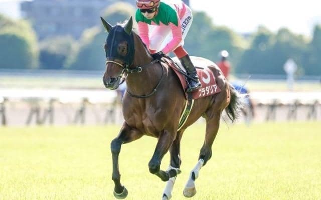 【AI予想・新潟記念】近年波乱傾向強まるサマー2000シリーズ最終戦！ 本命候補は新潟外回りに高い適性示す3頭