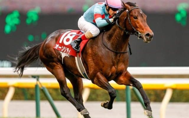 【先週のJRA抹消馬】重賞4勝馬オーソリティ、ダートで活躍したサンダーブリッツなど