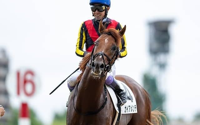 【札幌2歳S想定騎手】ガイアメンテは武豊騎手、ギャンブルルームは松山弘平騎手