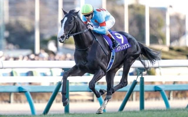 一流馬を輩出する名種牡馬「ヘイロー」 日本向きのスピードを受け継ぐ配合パターンとは？