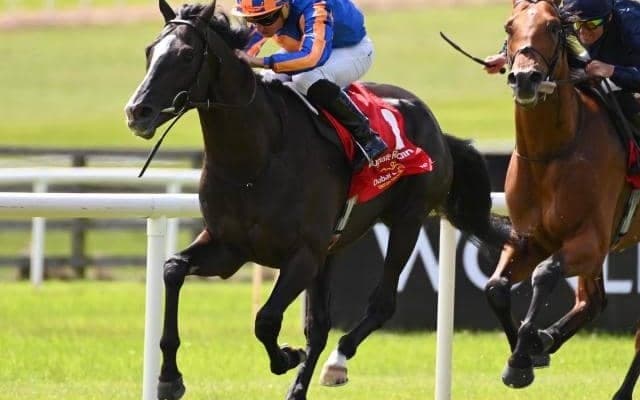 ディープインパクト産駒オーギュストロダンは来月愛G1へ 調教師が今年の引退示唆