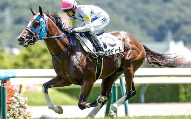 【小倉2歳S予想オッズ】ビッグドリームが予想1番人気