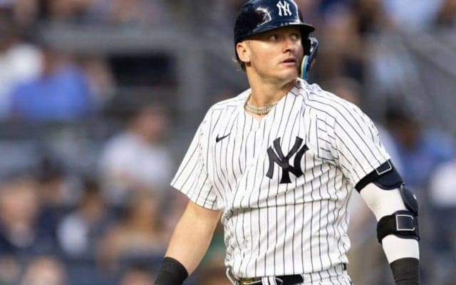 【MLB】ヤンキース、通算276発ドナルドソンを放出　15年MVPも打率.142と不振…球団発表
