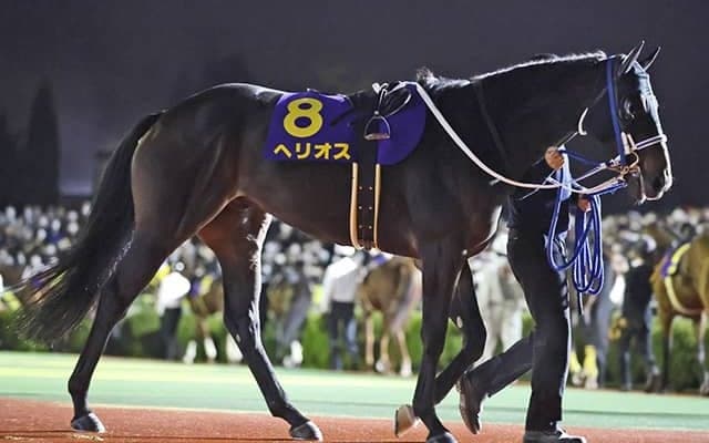 【佐賀競馬】初のナイター開催のサマーチャンピオン 佐賀の夜に栄冠を掴むのはどの馬か