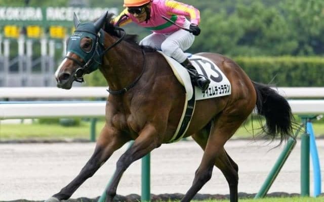 25年ぶりの九州産馬Vなるか 小倉2歳Sにひまわり賞覇者が参戦