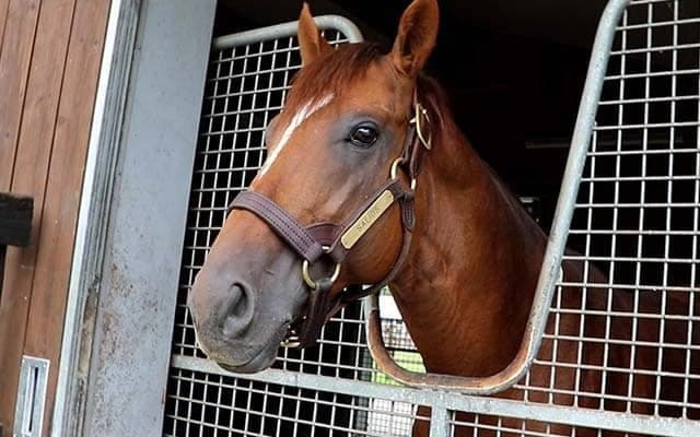 サリオス産駒が合う舞台は？ 日本の大種牡馬×ドイツ名牝系の配合にかかる期待
