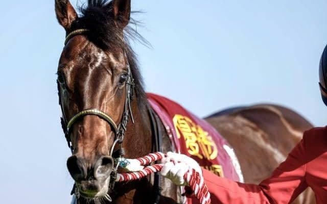 【新潟記念予想】AIが挙げた注目馬の信頼度は？ 直近のパフォーマンスに不安がある馬は過信禁物