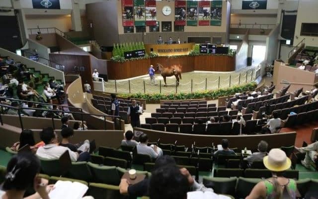 史上最高の売り上げ記録 サマーセールに連日の熱気