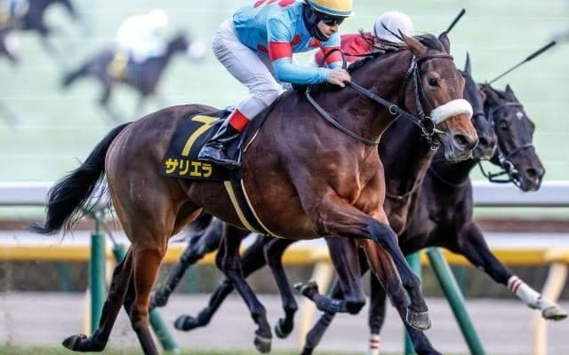 【新潟記念出走馬・騎手確定】サリエラ＆C.ルメール騎手、ノッキングポイント＆北村宏司騎手など14頭