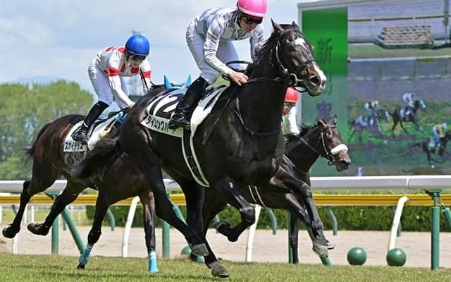 セレクト1億9000万円のディープインパクト産駒がインターネットオークションに出品