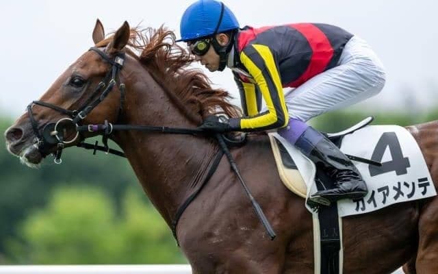 【札幌2歳S出走馬・騎手確定】ガイアメンテ＆武豊騎手、ギャンブルルーム＆松山弘平騎手など10頭