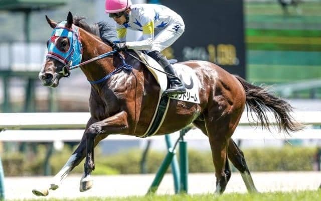 【小倉2歳S出走馬・騎手確定】ビッグドリーム＆幸英明騎手、キャンシーエンゼル＆松山弘平騎手など10頭