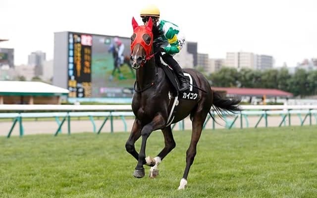 道営所属の2歳セン馬が札幌2歳S参戦 7年ぶり4回目の地方馬V目指す