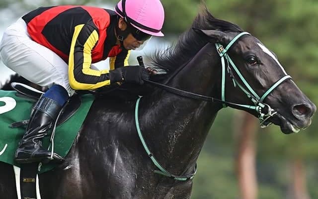 新潟2歳S覇者の今後に黒岩師言及「賞金加算できたのでじっくり」