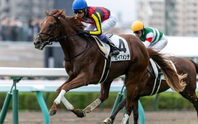 【札幌2歳S枠順確定】ガイアメンテは8枠9番、ギャンブルルームは7枠7番