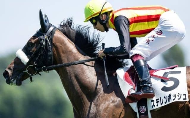 名牝を詰めこんだ超良血馬 サフラン賞で連勝狙う