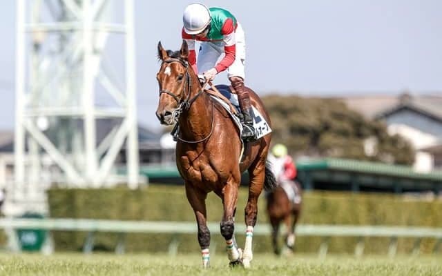 2着7回、3着3回の堅実派 3歳未勝利のラストチャンスで“今度こそ”