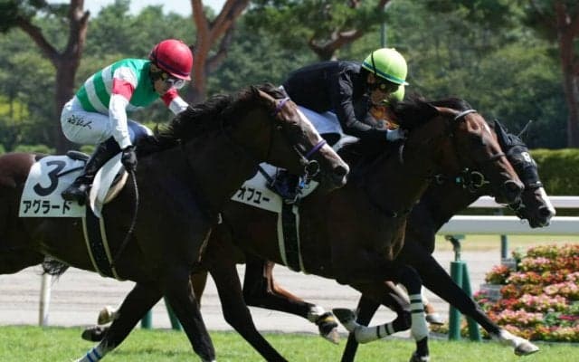 【新馬/新潟5R】ニューイヤーズデイ産駒 ベストオブユーがデビューV…JRA初勝利