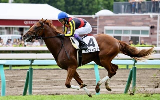 武豊騎手 今週の騎乗馬…札幌2歳には好素材ガイアメンテで参戦