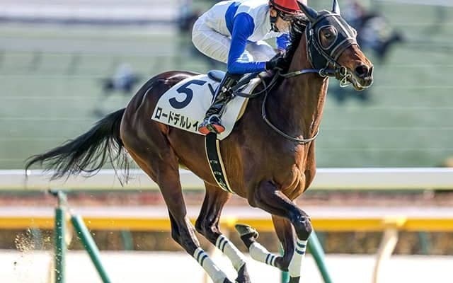 【今日の注目ポイント】出世の登竜門・札幌2歳S、新潟10Rで無傷連勝中のロードデルレイ復帰など