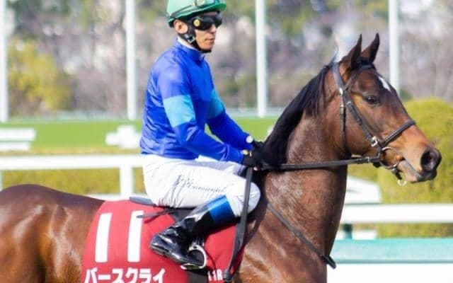 【土曜小倉7R予想】待望のスプリント戦でバースクライが決める