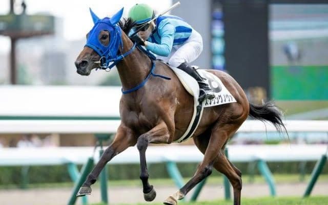 【札幌5R新馬戦結果】6番人気のスプリングノヴァが逃げ切ってデビューV