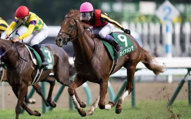 【札幌2歳S】セットアップが楽々逃げ切る…武豊ガイアメンテは6着敗退