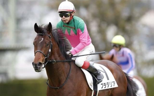 【新潟記念予想】今年は凡走馬の巻き返しも!? 前走2000m戦組が活躍する夏のハンデ重賞