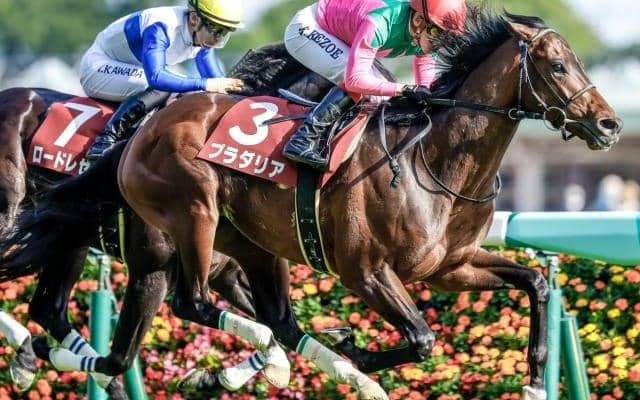 【AI予想・新潟記念】相手弱化で勝機到来！ 初志貫徹の本命馬は力量確かな重賞勝ち馬