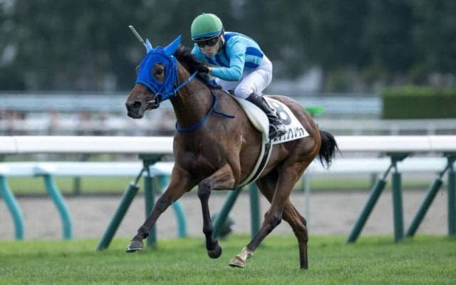 【新馬/札幌5R】カリフォルニアクローム産駒 スプリングノヴァがデビューV