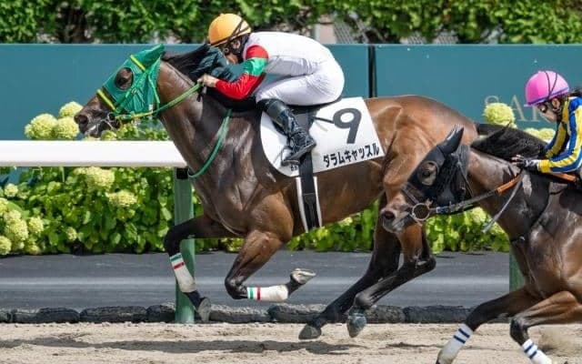 札幌6R制したダラムキャッスルが鼻出血発症 2日の出来事一覧/札幌・新潟・小倉