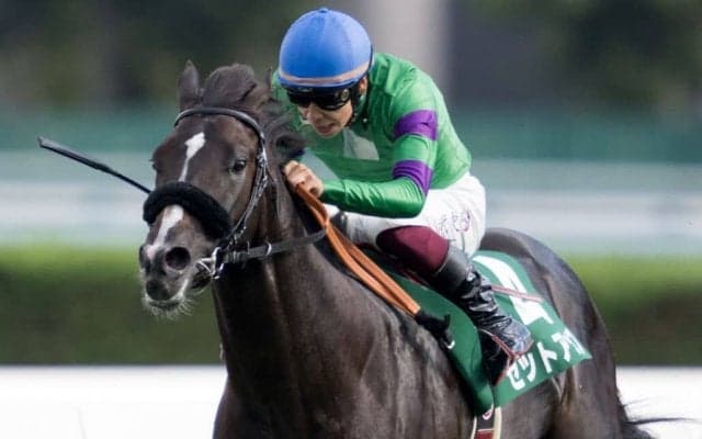 【札幌2歳S】横山武「想像以上に強かった」セットアップが鮮やかに逃げ切る